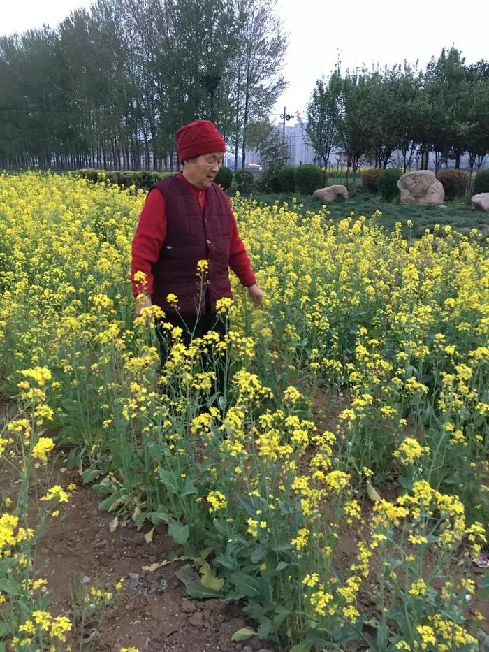 1526263926337974.jpg 02.jpg