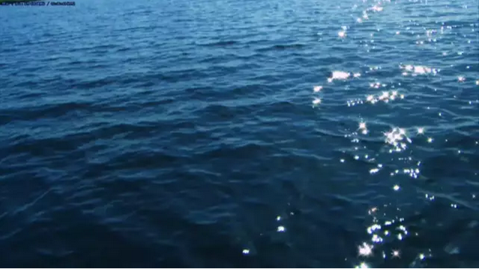 1552273564308316.png image.png