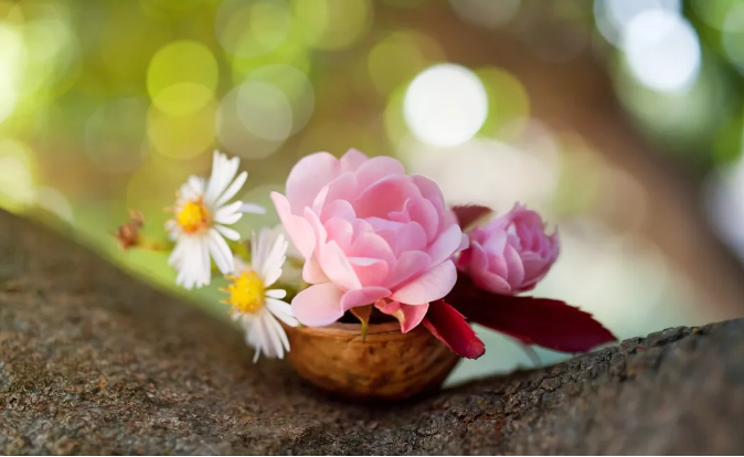 1553669310923974.png image.png