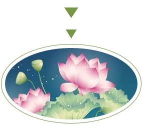 1556519656750328.png image.png