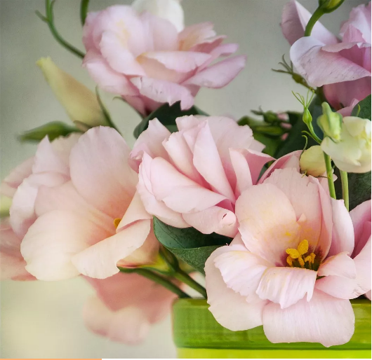 1558405209277219.png image.png