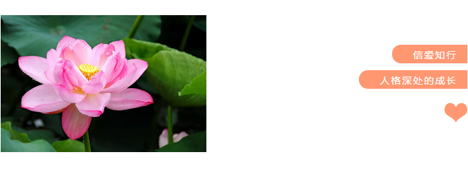 1561519030116490.png image.png