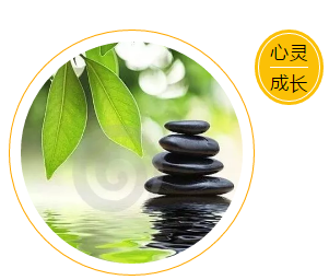 1561519940414542.png image.png