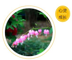 1561521186833568.png image.png