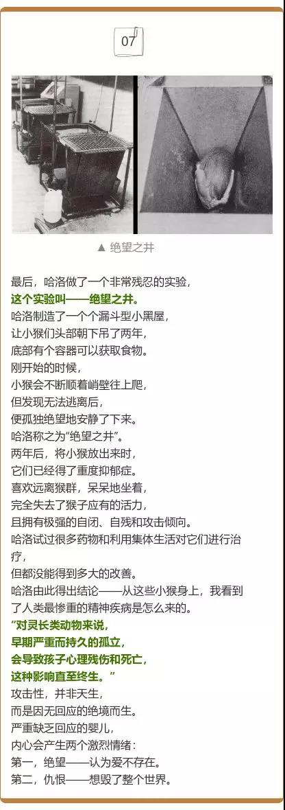 1561530038744915.jpg 微信圖片_20190626141758.jpg