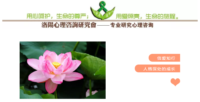 1563257859123652.png image.png