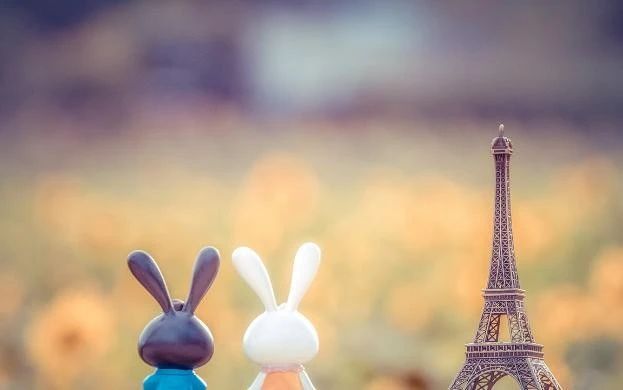 1597195537736410.jpg 微信圖片_20200812092525.jpg