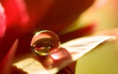 1597195562516866.jpg 微信圖片_20200812092542.jpg