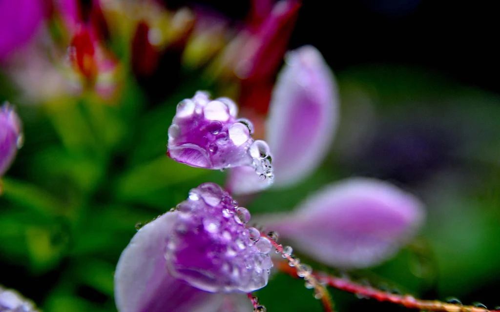 1597195616110710.jpg 微信圖片_20200812092644.jpg