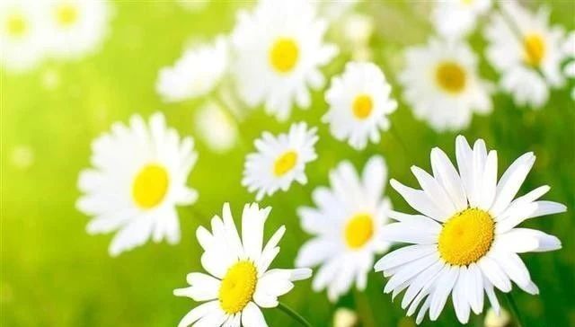 1597195655101015.jpg 微信圖片_20200812092717.jpg