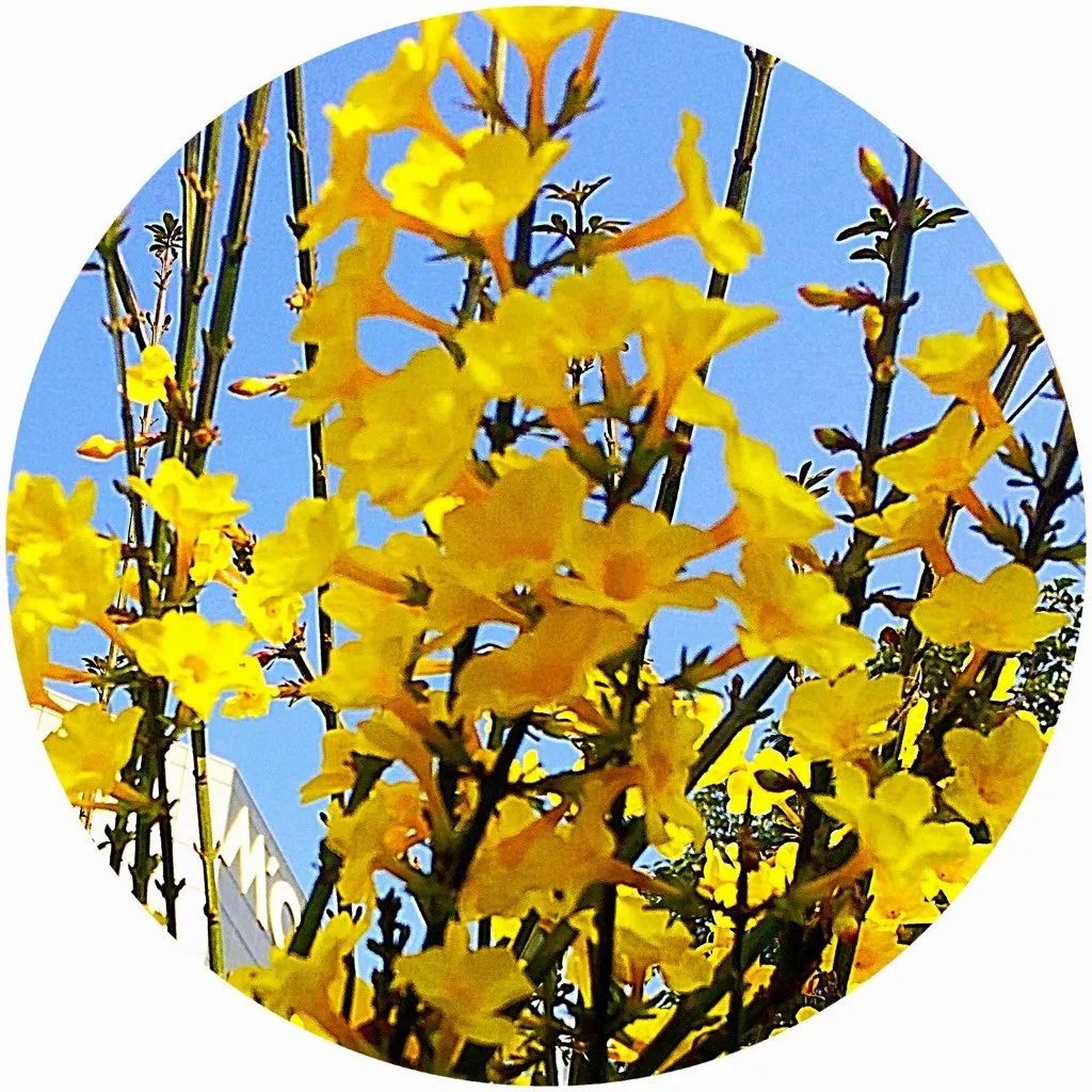 1597280623101606.jpg 1597280623101606.jpg