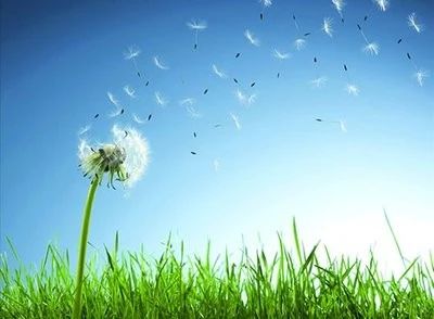 1597280863189540.jpg 微信圖片_20200813090640.jpg