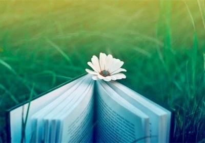 1597280904494184.jpg 微信圖片_20200813090713.jpg