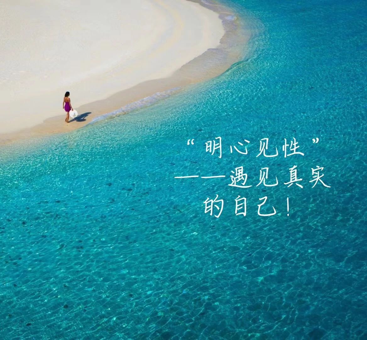 1597627399436374.jpg 1597627399436374.jpg