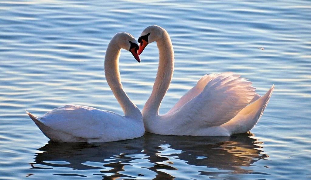 1603590933470611.jpg 微信圖片_20201025095324.jpg