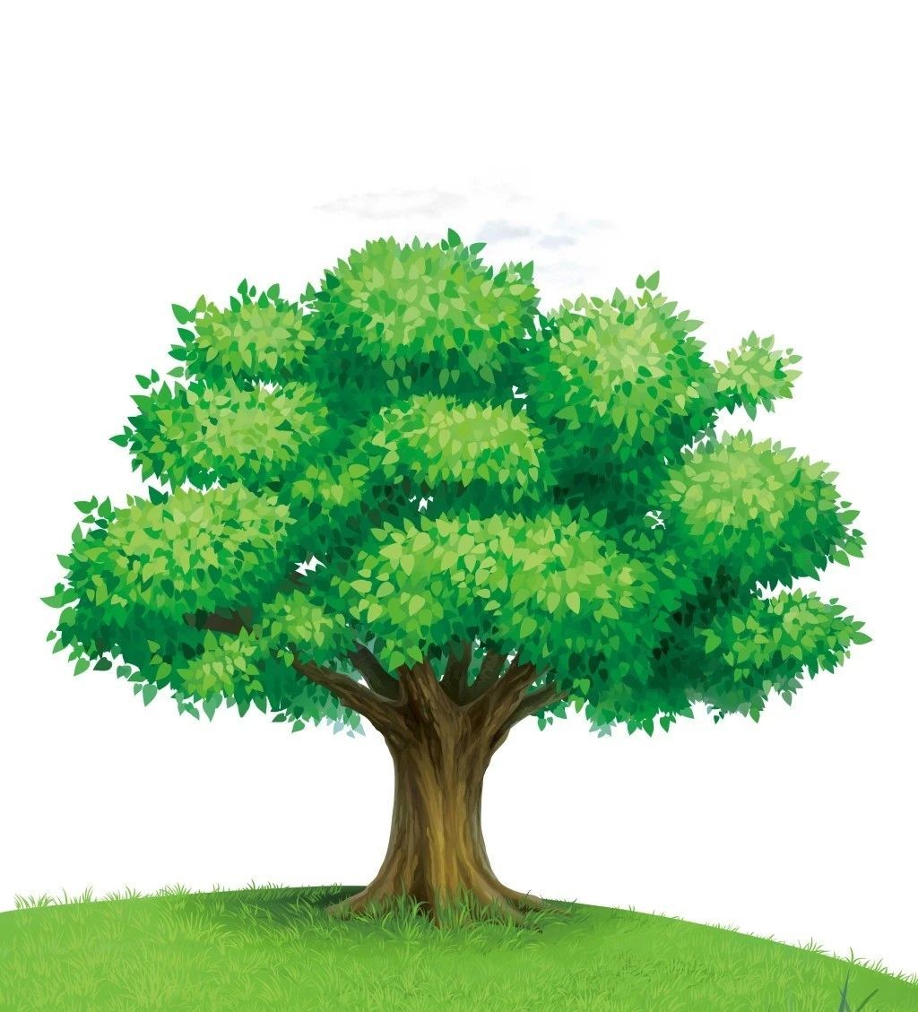 1625298801518712.jpg 1625298801518712.jpg