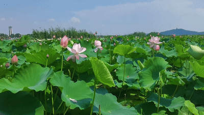 1653819663116041.gif 2021_0713_327d2b1eg00qw66ud00xmd200b4006ag00ha009r.gif