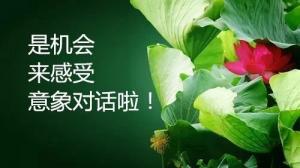 8月20日—26日意象對話公益體驗(yàn)周