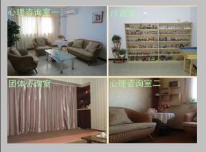 活動(dòng)場(chǎng)地